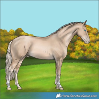 Horse Color:Chocolate Palomino Pearl