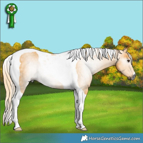 Horse Color:Gray Palomino Tobiano Rabicano 