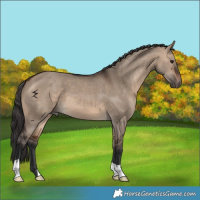 Horse Color:Brown Dun