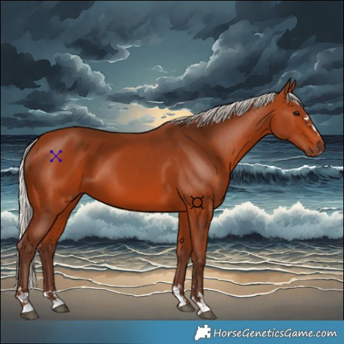 Horse Color:Silver Bay 