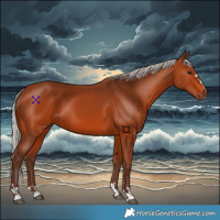Horse Color:Silver Bay 