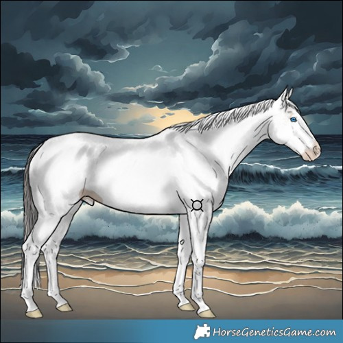 Horse Color:White Spotted Brown Dun Splash Tobiano 