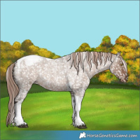 Horse Color:Liver Red Dun Roan Tobiano Appaloosa 