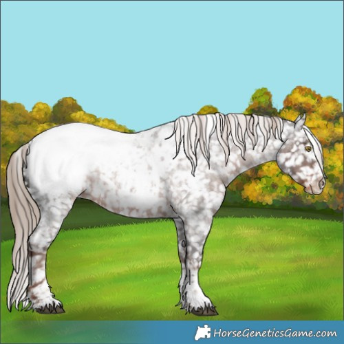 Horse Color:Liver Red Roan Sabino Near Fewspot Rabicano 