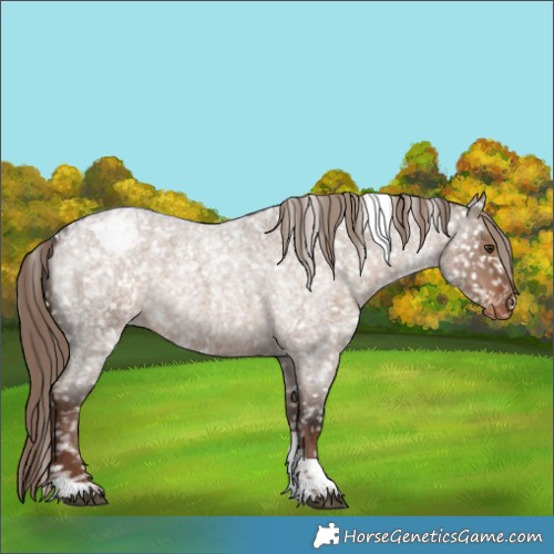 Horse Color:Liver Red Dun Roan Tobiano Snowcap 