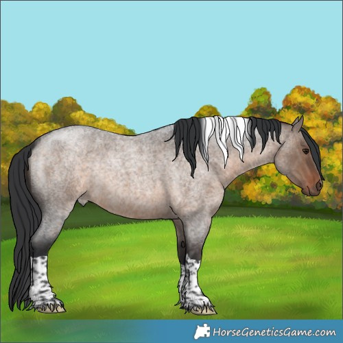 Horse Color:Brown Roan Dun Tobiano Rabicano 
