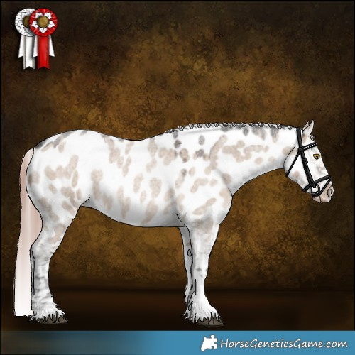 Horse Color:Liver Red Dun Roan Tobiano Appaloosa Rabicano