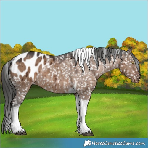 Horse Color:Liver Red Dun Tobiano Blanket Rabicano Brindle 