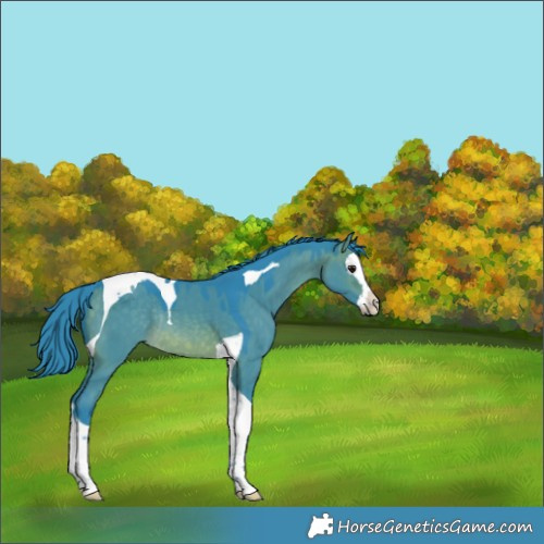 Horse Color:Watercolor Brown Dun Splash Tobiano Rabicano 