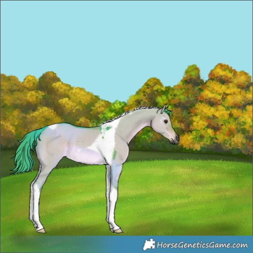Horse Color:Gray Watercolor Liver Red Dun Tobiano Rabicano 