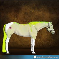 Horse Color:Watercolor White Spotted Liver Red Dun Tobiano Rabicano 