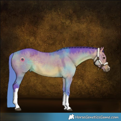Horse Color:Watercolor White Spotted Brown Dun Rabicano 