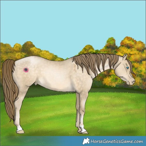 Horse Color:Buckskin Pearl Dun 