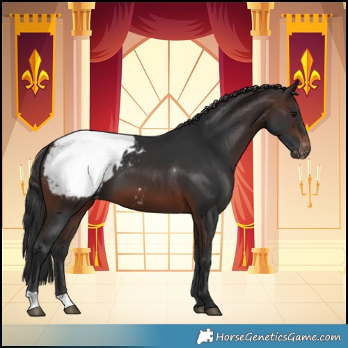 Horse Color:Brown Snowcap