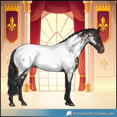 Horse Color:Brown Near Fewspot 