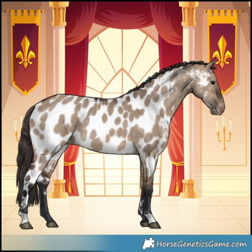 Horse Color:Brown Dun Near Leopard