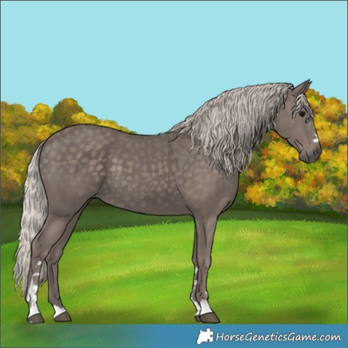 Horse Color:Silver Black 