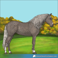 Horse Color:Silver Black 