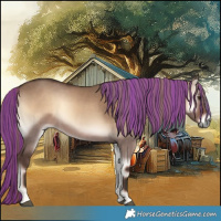 Horse Color:Painted Liver Red Dun Onyx 