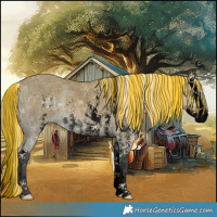 Horse Color:Void Painted Palomino Ice Dun Sabino Splash