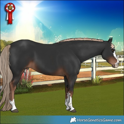 Horse Color:Liver Chestnut