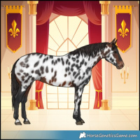 Horse Color:Brown Near Leopard 