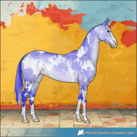 Horse Color:Watercolor White Spotted Brown Dun 