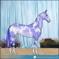 Horse Color:Watercolor White Spotted Brown Dun 