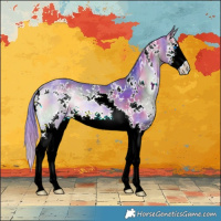 Horse Color:Nacre Watercolor White Spotted Bay Onyx Splash 