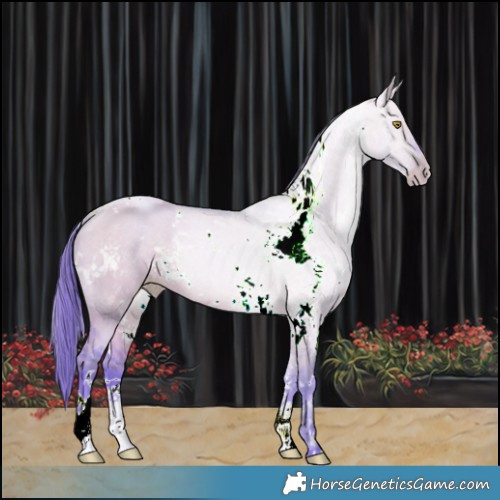Horse Color:Watercolor White Spotted Bay Pearl Dun 