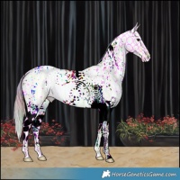 Horse Color:Nacre Watercolor White Spotted Grullo Ice Pearl Tobiano