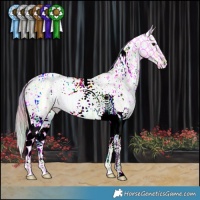 Horse Color:Nacre Watercolor White Spotted Grullo Ice Pearl Tobiano