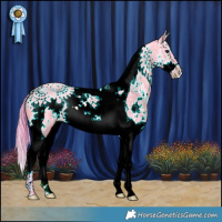 Horse Color:Watercolor White Spotted Brown Ice Dun Splash Tobiano