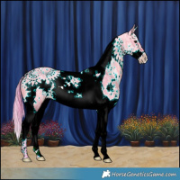 Horse Color:Watercolor White Spotted Brown Ice Dun Splash Tobiano 
