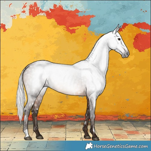 Horse Color:Gray White Spotted Silver Brown 