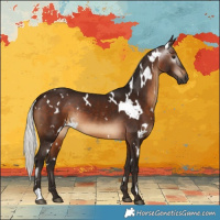 Horse Color:Gray White Spotted Silver Brown