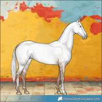 Horse Color:Gray White Spotted Silver Smoky Creme Blanket Rabicano 
