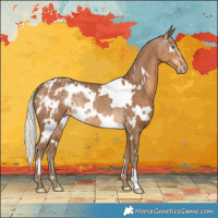 Horse Color:Gray White Spotted Silver Smoky Creme Appaloosa Rabicano