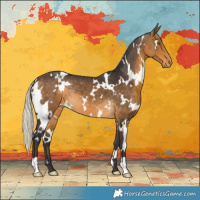 Horse Color:White Spotted Silver Buckskin Varnish 