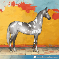 Horse Color:Gray White Spotted Silver Smoky Black
