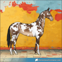 Horse Color:Gray White Spotted Sable Champagne Blanket 