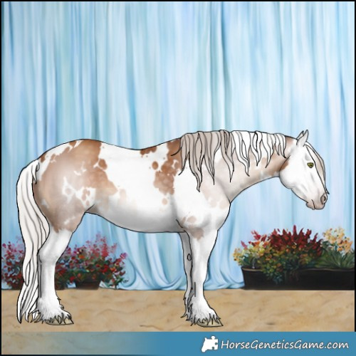 Horse Color:Gray White Spotted Silver Classic Champagne Splash 