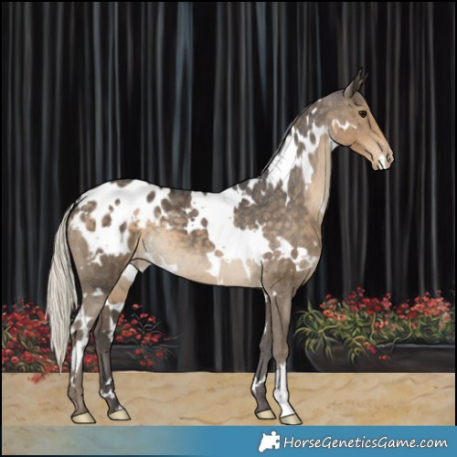 Horse Color:White Spotted Silver Smoky Black Blanket 