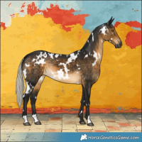 Horse Color:Gray White Spotted Silver Buckskin 