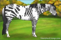 Horse Color:White Spotted Black