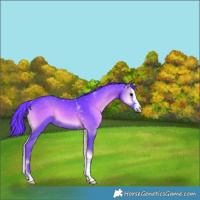 Horse Color:Watercolor Blue Onyx 