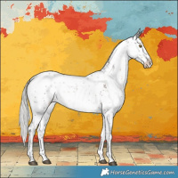 Horse Color:White Spotted Silver Brown Sabino Rabicano