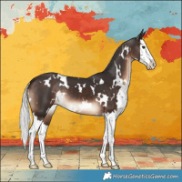 Horse Color:White Spotted Silver Brown Splash 