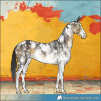Horse Color:White Spotted Buckskin 