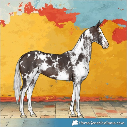 Horse Color:White Spotted Silver Brown Splash Rabicano 
